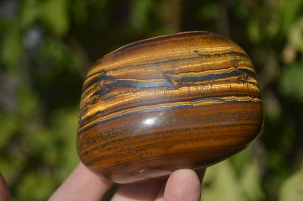 Polished Golden Tigers Eye Free Forms x 6 From Prieska, Northern Cape