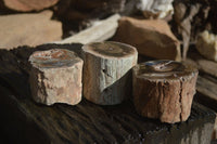 Polished Petrified Wood Branch Pieces x 3 From Gokwe, Zimbabwe - Toprock Gemstones and Minerals 