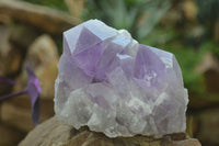 Natural Jacaranda Amethyst Clusters x 2 From Zambia - Toprock Gemstones and Minerals 