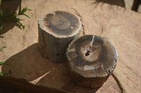 Polished Petrified Wood Branch Pieces x 3 From Gokwe, Zimbabwe - Toprock Gemstones and Minerals 