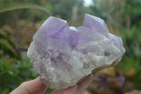 Natural Jacaranda Amethyst Clusters x 2 From Zambia - Toprock Gemstones and Minerals 