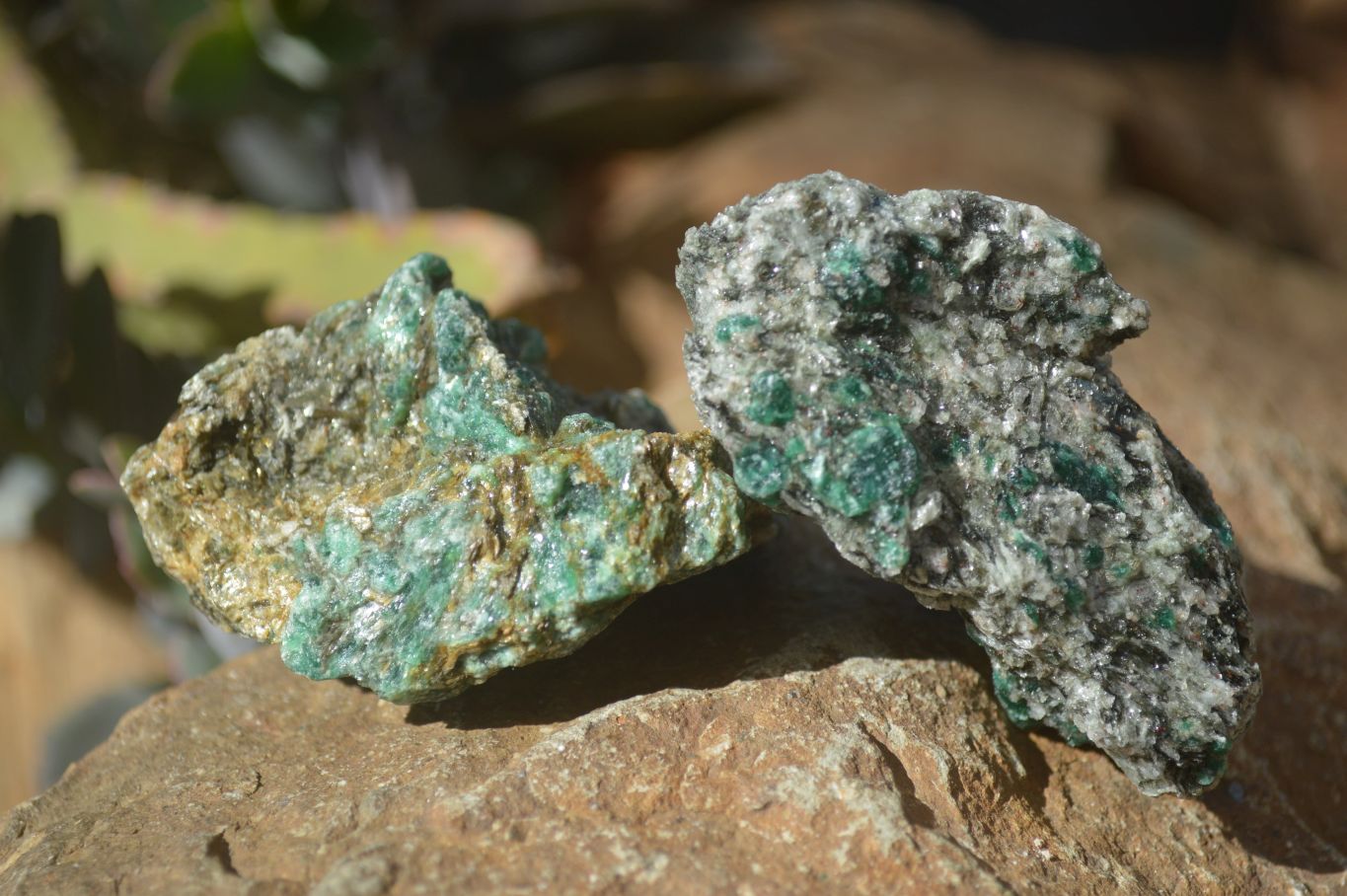 Natural Rare Emerald Mica In Matrix Cobbed Specimens x 20 From Mutoko, Zimbabwe - Toprock Gemstones and Minerals 