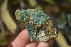 Natural Rare Emerald Mica In Matrix Cobbed Specimens x 20 From Mutoko, Zimbabwe - Toprock Gemstones and Minerals 