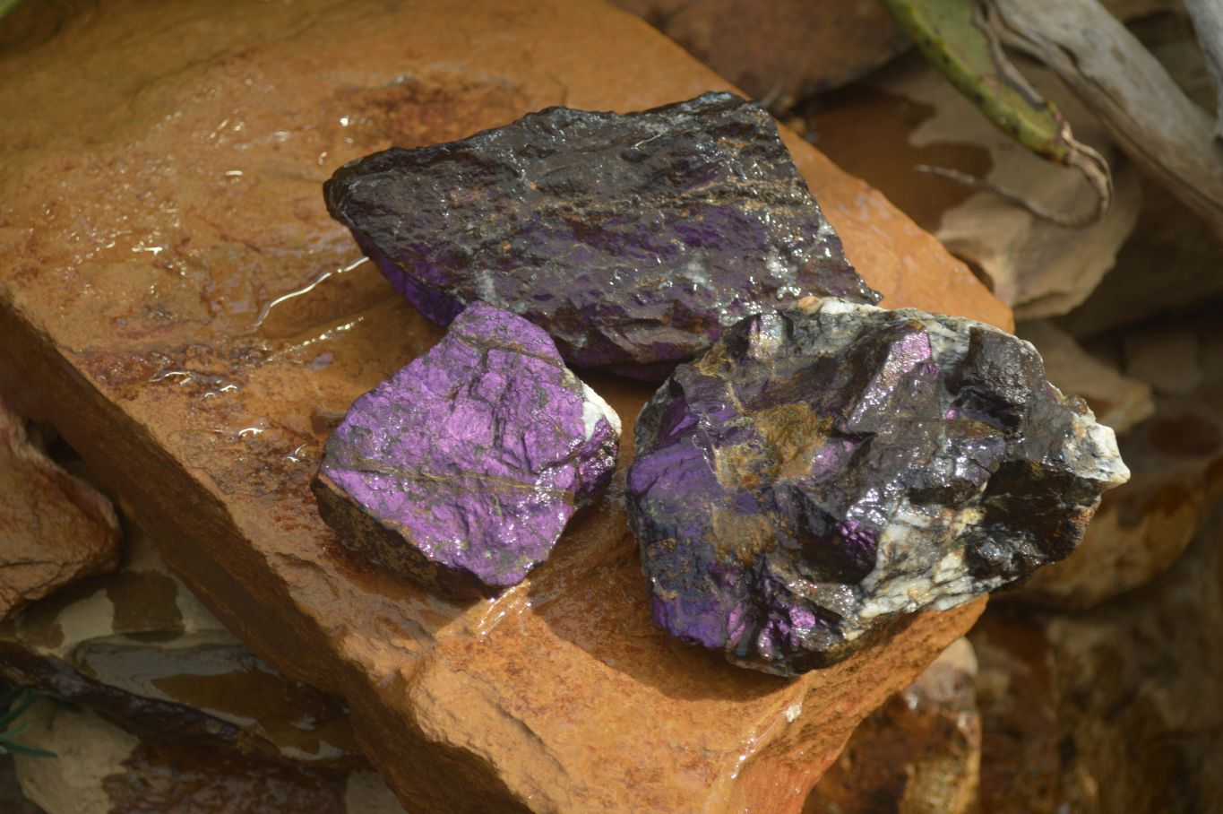Natural Metallic Purpurite Cobbed Specimens x 3 From Erongo, Namibia - Toprock Gemstones and Minerals 