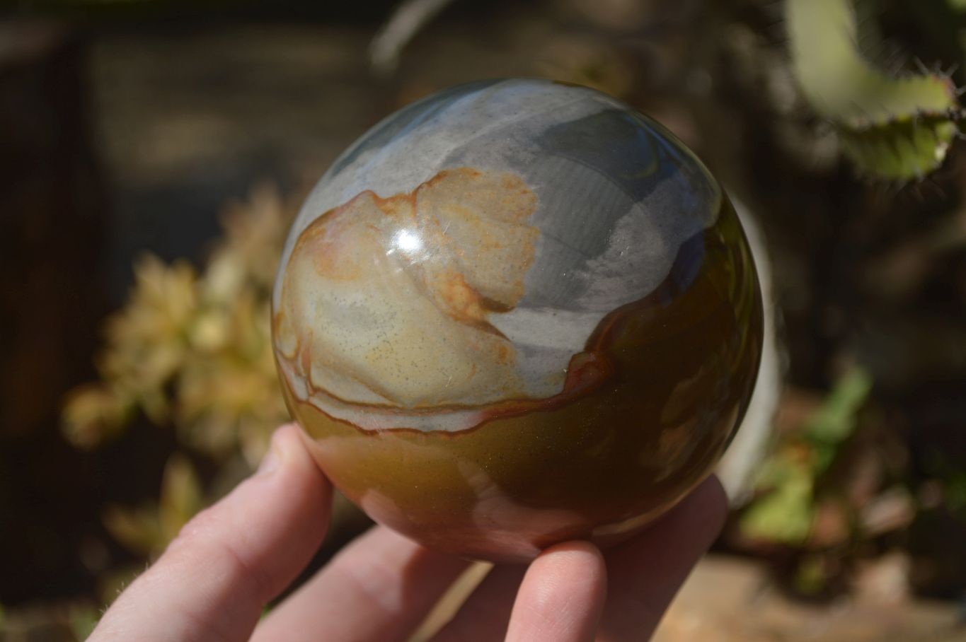 Polished Polychrome Jasper Sphere  x 1 From Madagascar - Toprock Gemstones and Minerals 