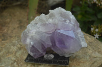 Natural Jacaranda Amethyst Clusters x 2 From Zambia - Toprock Gemstones and Minerals 