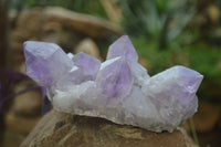 Natural Jacaranda Amethyst Clusters x 2 From Zambia - Toprock Gemstones and Minerals 