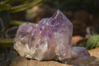 Natural Jacaranda Amethyst Clusters x 2 From Zambia - Toprock Gemstones and Minerals 
