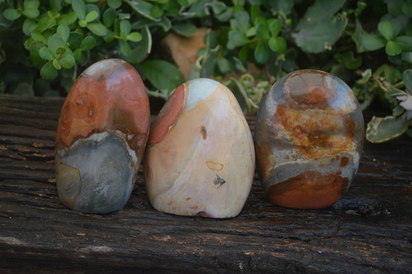 Polished Polychrome / Picasso Jasper Standing Free Forms  x 3 From Mahajanga, Madagascar - Toprock Gemstones and Minerals 
