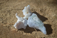 Natural Etched Blue Chalcedony Specimens  x 35 From Nsanje, Malawi - Toprock Gemstones and Minerals 