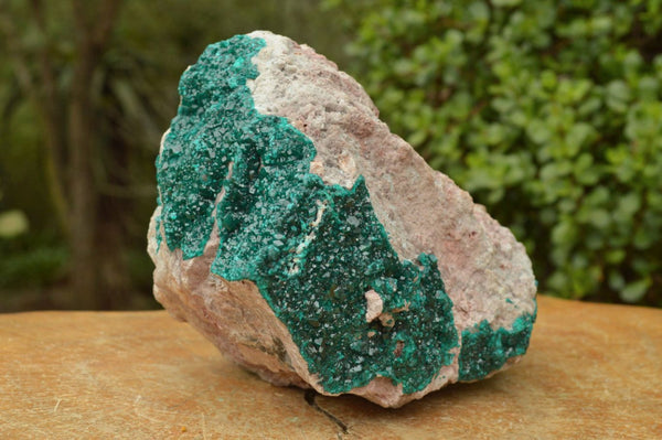 Natural XL Classic Dioptase Specimen With Chrysocolla x 1 From Congo - TopRock