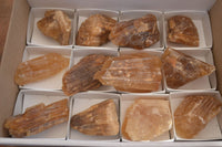 Natural Honey Aragonite Etched & Cobbed Pieces  x 12 From Namibia - Toprock Gemstones and Minerals 