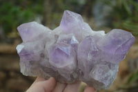 Natural Jacaranda Amethyst Clusters x 2 From Zambia - Toprock Gemstones and Minerals 