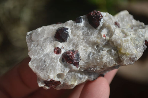 Natural Red Pyrope Garnet Crystals In Feldspar & Quartz Matrix  x 12 From Karibib, Namibia - Toprock Gemstones and Minerals 