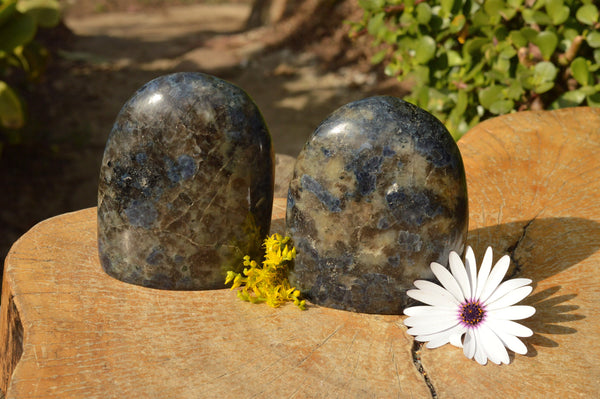 Polished Rare Iolite 