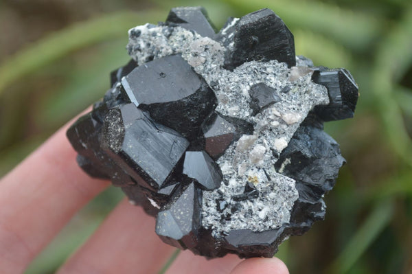 Natural Schorl Black Tourmaline Specimens With Hyalite Opal x 6 From Erongo Mountains, Namibia - TopRock
