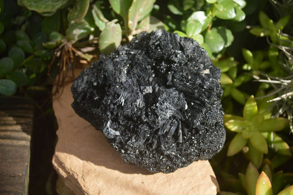 Natural Schorl Black Tourmaline Specimen x 1 From Erongo, Namibia - Toprock Gemstones and Minerals 