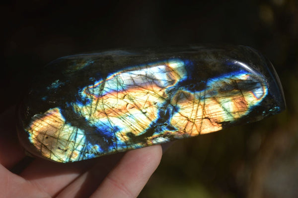 Polished Labradorite Standing Free Forms With Blue & Gold Flash  x 6 From Tulear, Madagascar