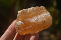 Natural Honey Aragonite Etched & Cobbed Pieces  x 12 From Namibia - Toprock Gemstones and Minerals 