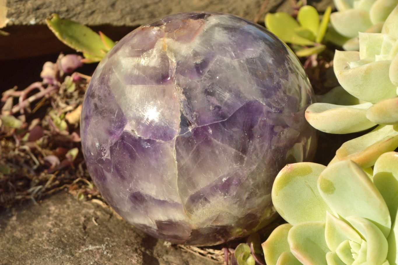 Polished Dream Flower Amethyst Spheres x 2 From Madagascar - TopRock