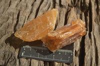 Natural Honey Aragonite Etched & Cobbed Pieces  x 12 From Namibia - Toprock Gemstones and Minerals 