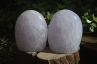 Polished Blue Girasol Rose Quartz Standing Free Forms x 2 From Madagascar - Toprock Gemstones and Minerals 