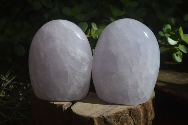 Polished Blue Girasol Rose Quartz Standing Free Forms x 2 From Madagascar - Toprock Gemstones and Minerals 