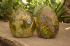 Polished  Green Opal Standing Free Forms  x 2 From Antsirabe, Madagascar - Toprock Gemstones and Minerals 