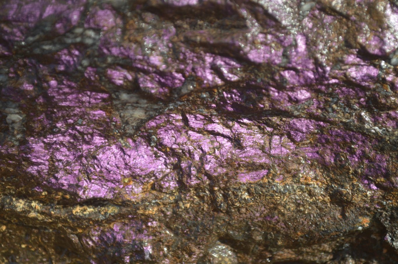 Natural Metallic Purpurite Cobbed Specimens x 3 From Erongo, Namibia - Toprock Gemstones and Minerals 