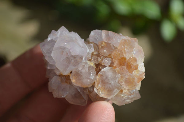 Natural Small Mixed Spirit Amethyst / Ametrine Specimens  x 35 From Boekenhouthoek, South Africa