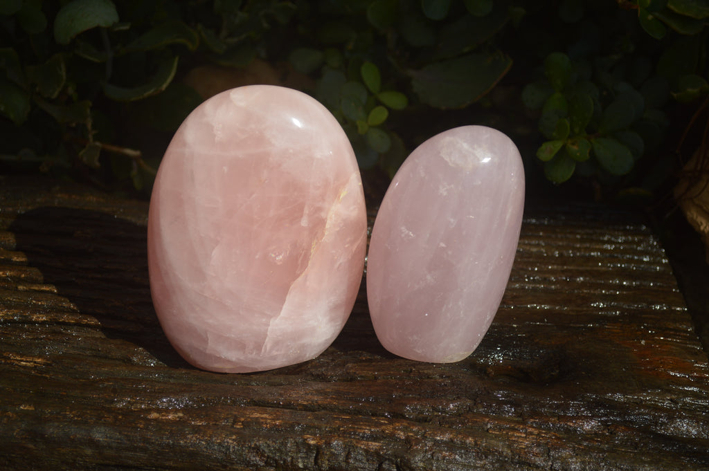 Polished Pink Rose Quartz Standing Free Forms x 2 From Antsirabe, Madagascar - Toprock Gemstones and Minerals 