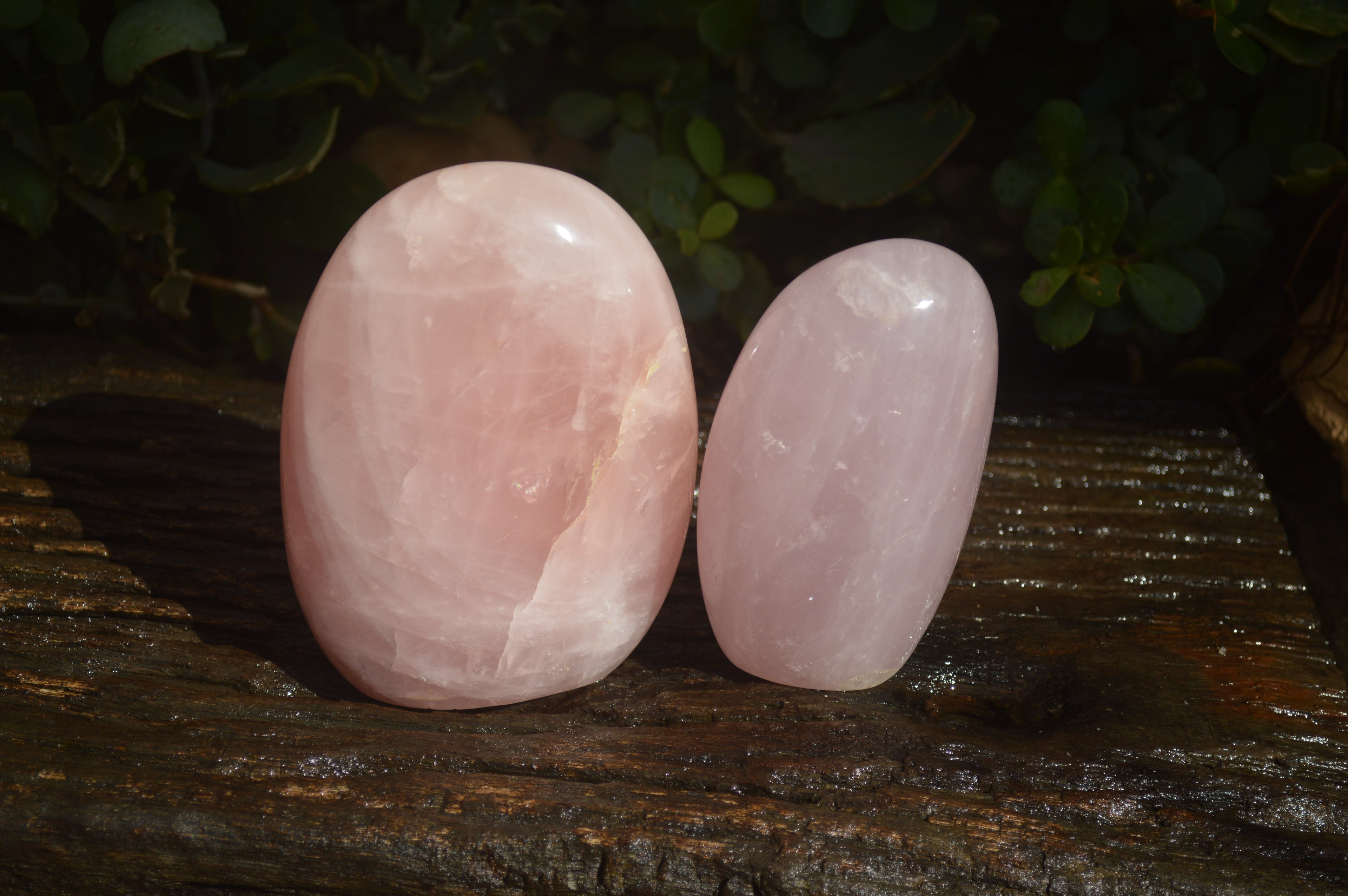 Polished Pink Rose Quartz Standing Free Forms x 2 From Antsirabe, Madagascar - Toprock Gemstones and Minerals 