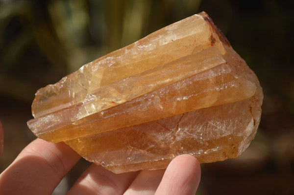Natural Honey Aragonite Etched & Cobbed Pieces  x 12 From Namibia - Toprock Gemstones and Minerals 