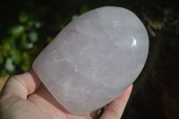 Polished Blue Girasol Rose Quartz Standing Free Forms x 2 From Madagascar - Toprock Gemstones and Minerals 