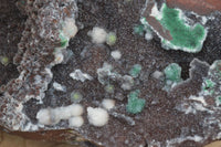 Natural Drusy Coated Ball Malachite On Dolomite Specimen  x 1 From Likasi, Congo - Toprock Gemstones and Minerals 