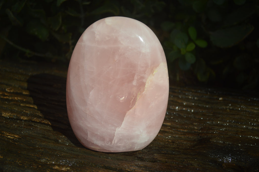 Polished Pink Rose Quartz Standing Free Forms x 2 From Antsirabe, Madagascar - Toprock Gemstones and Minerals 