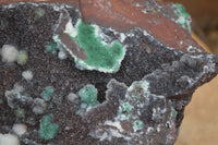 Natural Drusy Coated Ball Malachite On Dolomite Specimen  x 1 From Likasi, Congo - Toprock Gemstones and Minerals 