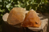 Natural Honey Aragonite Etched & Cobbed Pieces  x 12 From Namibia - Toprock Gemstones and Minerals 