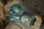 Polished On One Side Emerald Mtorolite Plates x 6 From Mutorashanga, Zimbabwe - Toprock Gemstones and Minerals 
