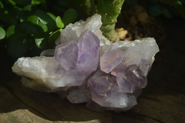 Natural Jacaranda Amethyst Clusters  x 2 From Zambia