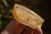 Natural Honey Aragonite Etched & Cobbed Pieces  x 12 From Namibia - Toprock Gemstones and Minerals 