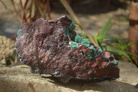 Natural Drusy Coated Ball Malachite On Dolomite Specimen  x 1 From Likasi, Congo - Toprock Gemstones and Minerals 