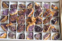 Natural Small Dark "Amethystos" Amethyst Clusters x 35 From Kwaggafontein, South Africa - TopRock
