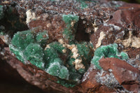 Natural Drusy Coated Ball Malachite On Dolomite Specimen  x 1 From Likasi, Congo - Toprock Gemstones and Minerals 