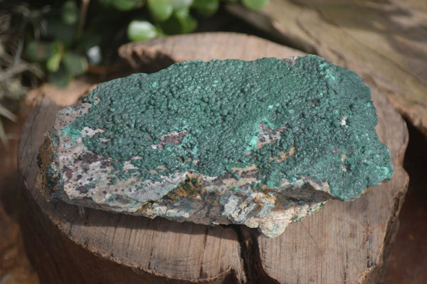 Natural Micro Botryoidal Crystalline Malachite Specimens  x 3 From Congo - Toprock Gemstones and Minerals 