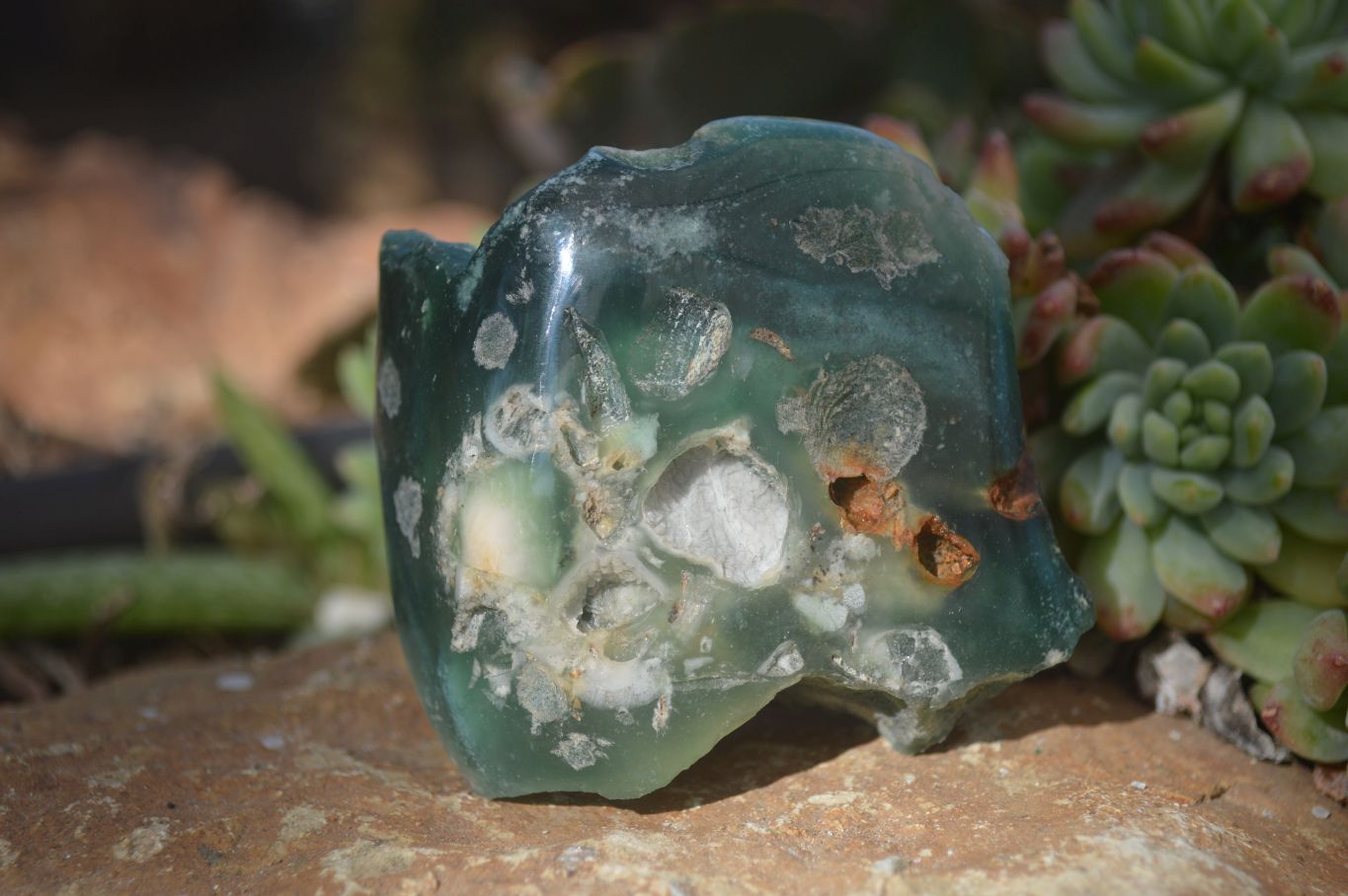 Polished On One Side Emerald Mtorolite Plates x 6 From Mutorashanga, Zimbabwe - Toprock Gemstones and Minerals 