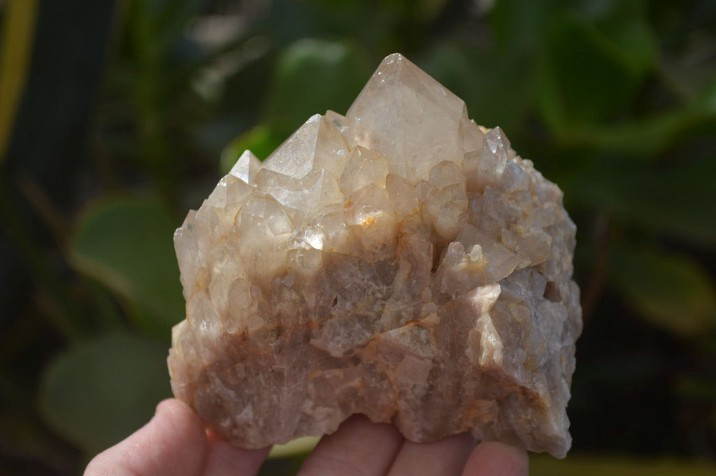 Natural Smokey Quartz Clusters x 3 From Luena, Congo - Toprock Gemstones and Minerals 