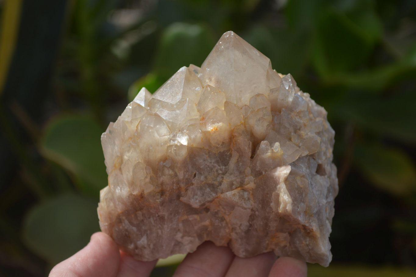 Natural Smokey Quartz Clusters x 3 From Luena, Congo - Toprock Gemstones and Minerals 