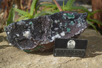 Natural Drusy Coated Ball Malachite On Dolomite Specimen  x 1 From Likasi, Congo - Toprock Gemstones and Minerals 