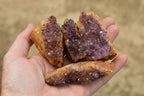 Natural Small Dark "Amethystos" Amethyst Clusters x 35 From Kwaggafontein, South Africa - TopRock
